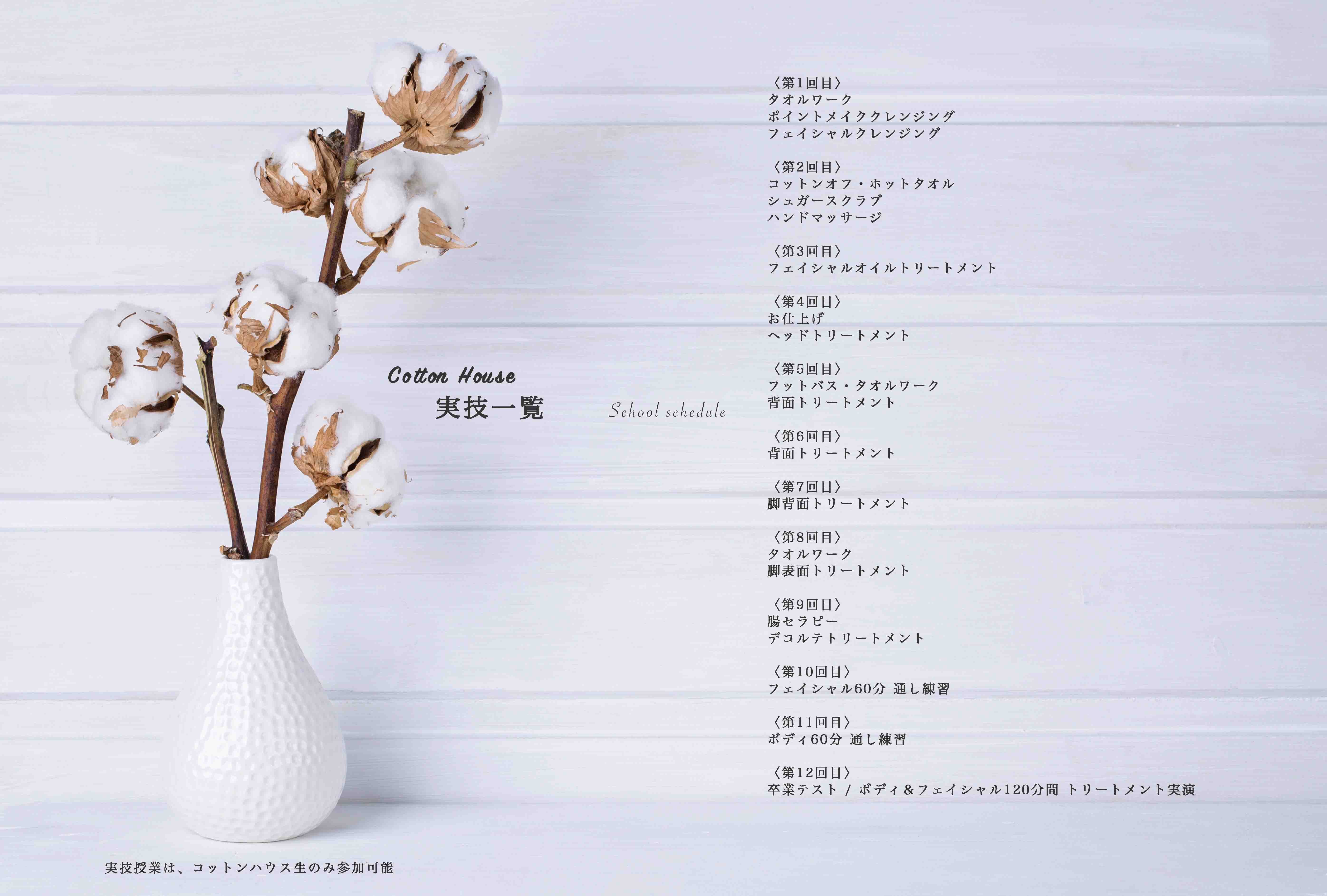 Vase mit cotton flowers on a white wooden background. Copy space for your text.
