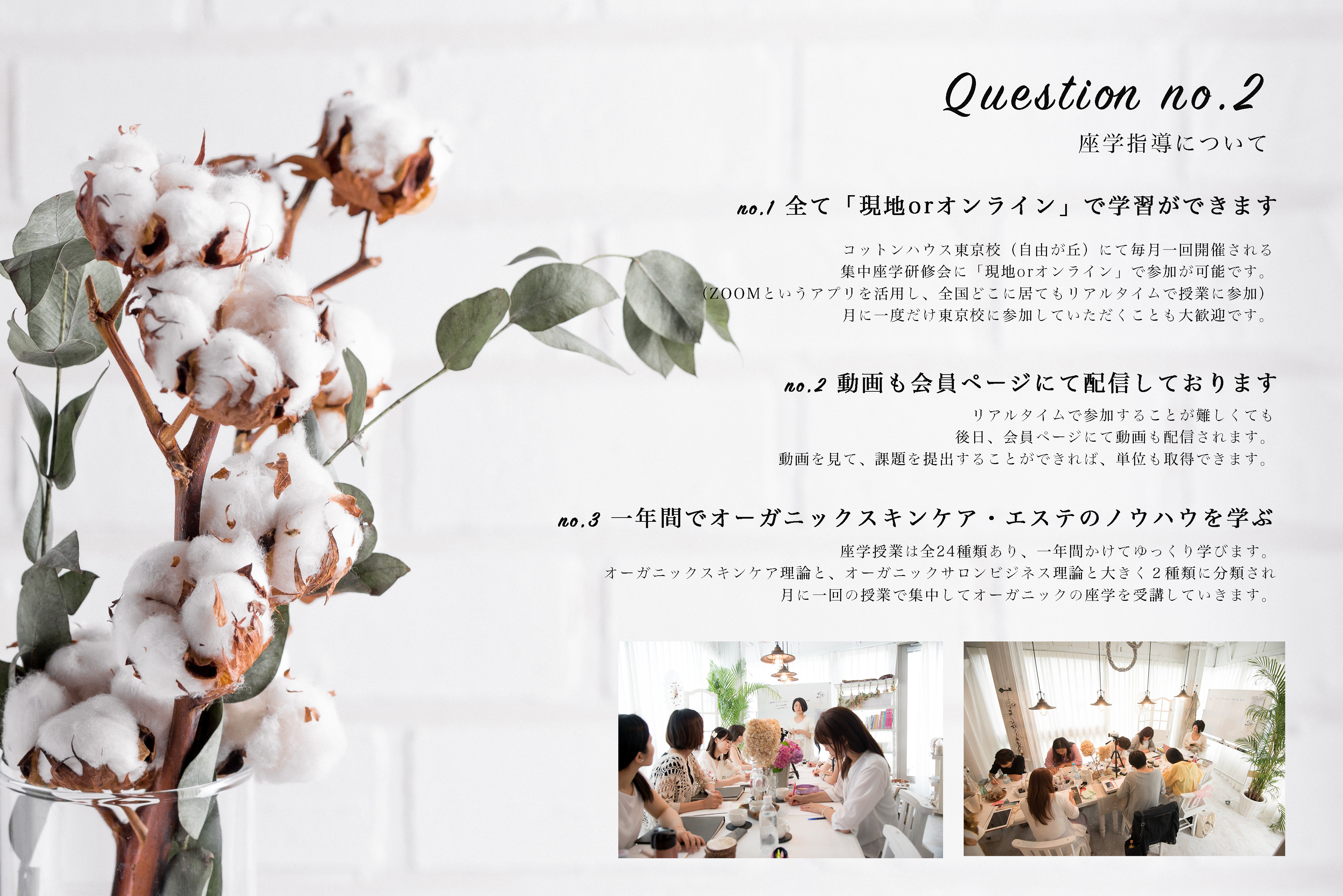 コットンハウス、オーガニックエステスクール Autumn composition. Dried white fluffy cotton flowers on white wood wall with copy space. Floral composition.