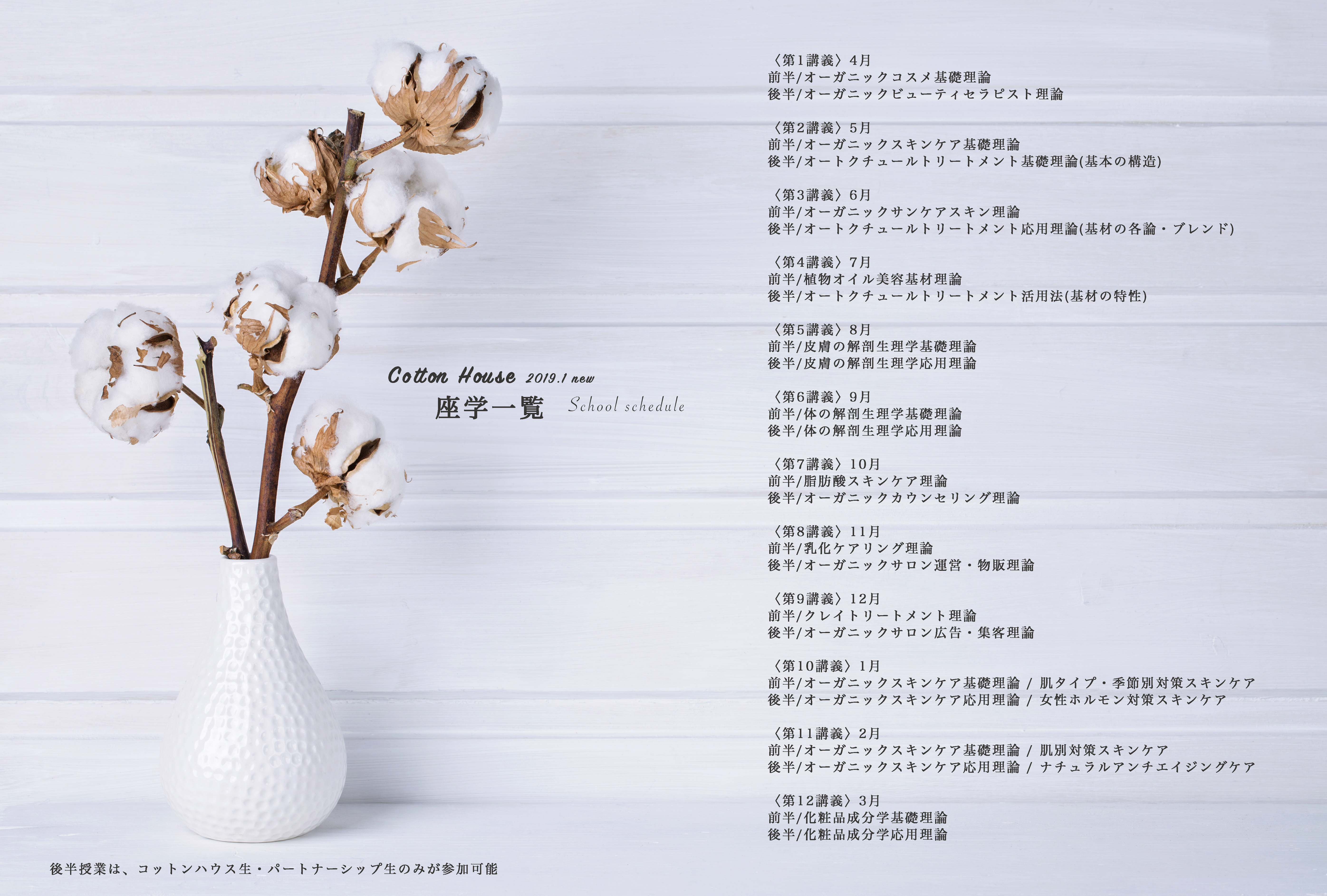 Vase mit cotton flowers on a white wooden background. Copy space for your text.