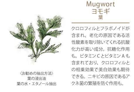 先行予約 Off 濃厚な高千穂蓬とクレイから生まれた アルテミシアグロウパック とは 全成分公開中 4月中先行予約 Off Organic Mother Life